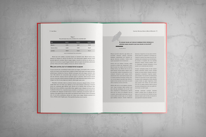 InDesign Book Template