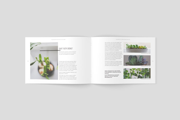 Multipurpose Landscape Magazine