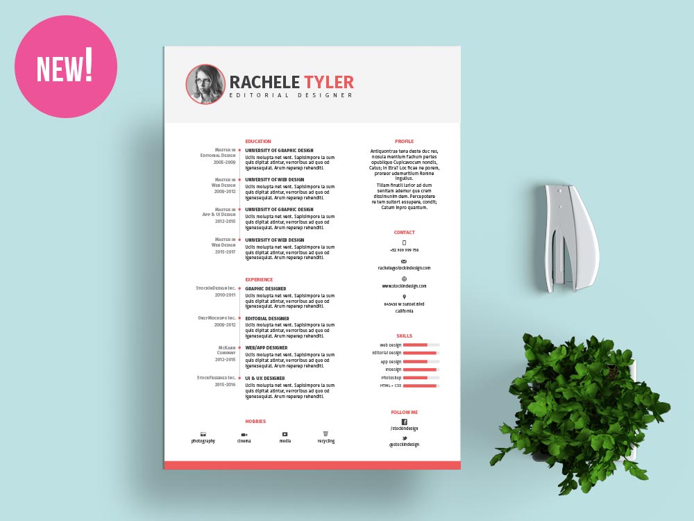 FREE InDesign Resume Template StockInDesign