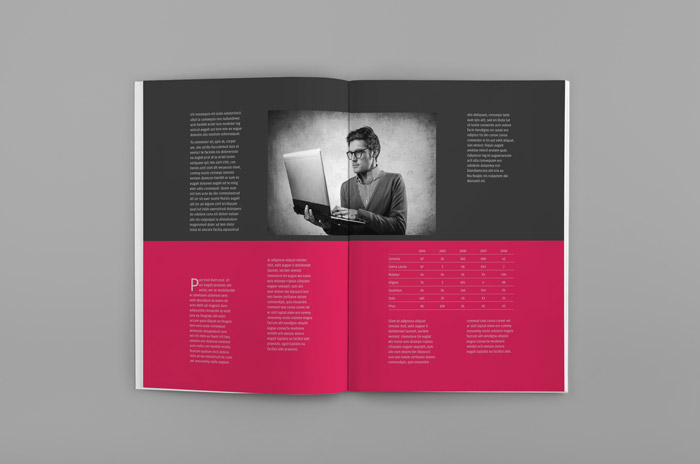 InDesign Newsletter Template