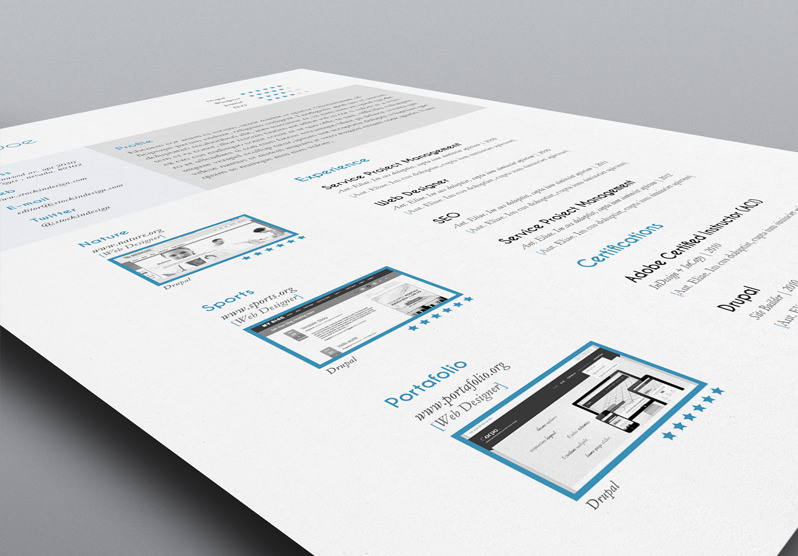 InDesign Resume Template