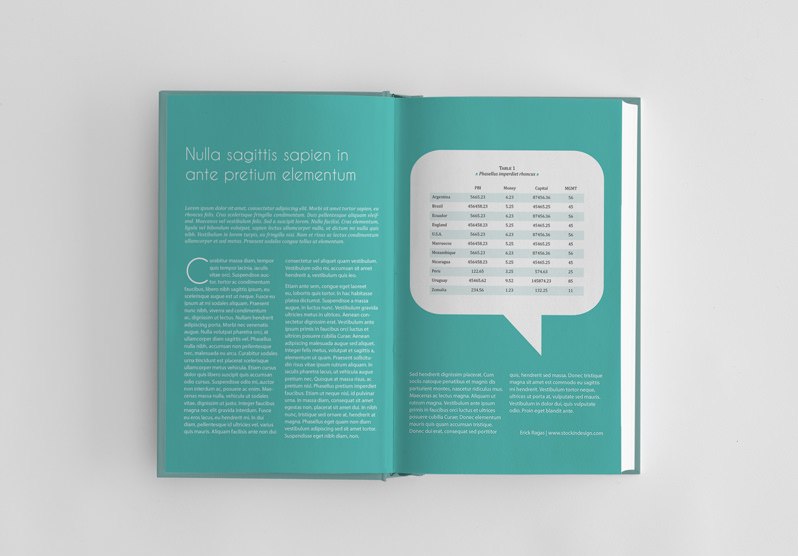 InDesign Book Template: Aristo