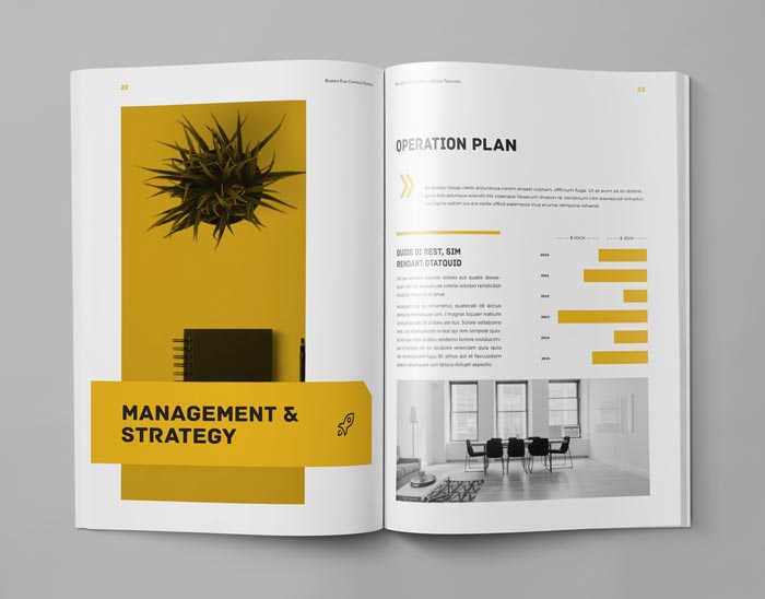 Business Plan Template Adobe InDesign Template