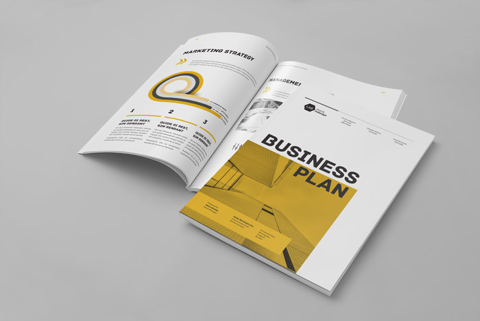 Business Plan Template Adobe InDesign Template