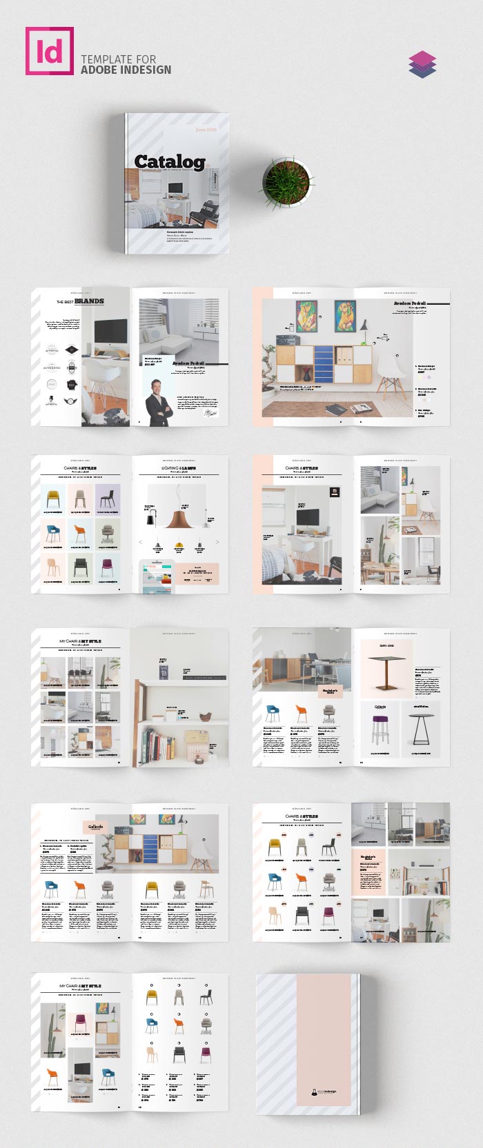 Indesign Catalog Templates