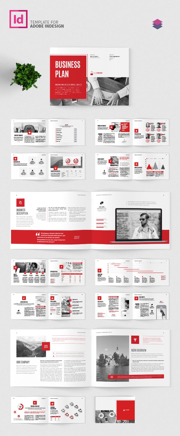 Business Plan Landscape Template Adobe InDesign Template