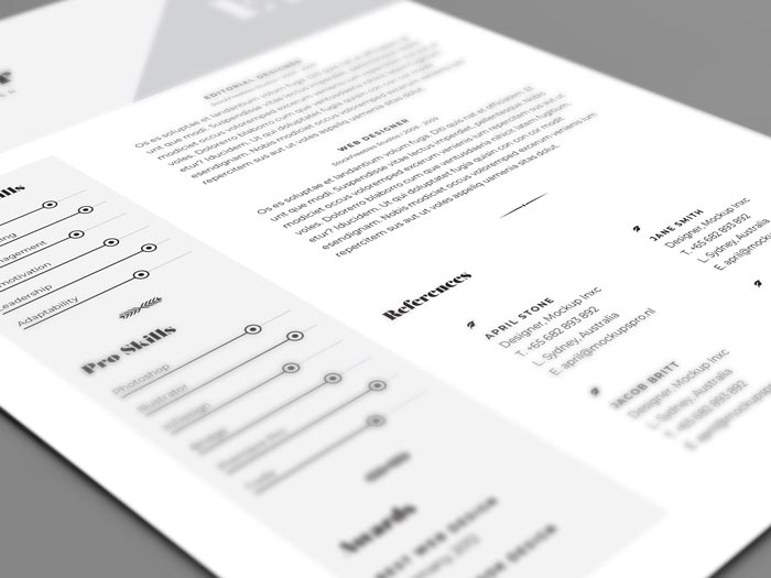 Free Professional Resume Template