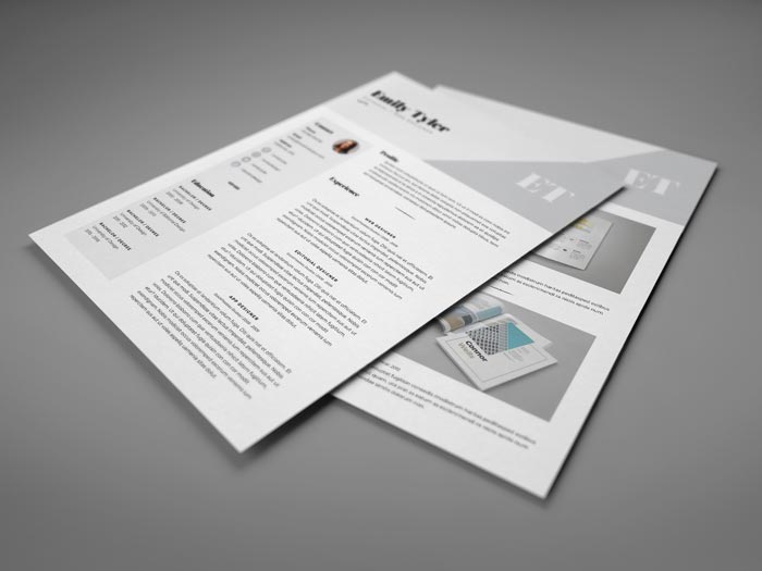 Free Professional Resume Template