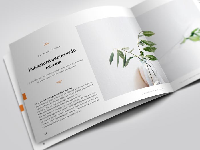 Landscape Magazine Minimalisme Template