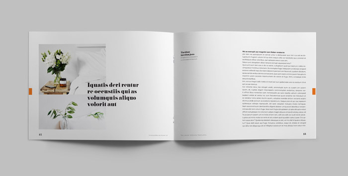 Landscape Magazine Minimalisme Template