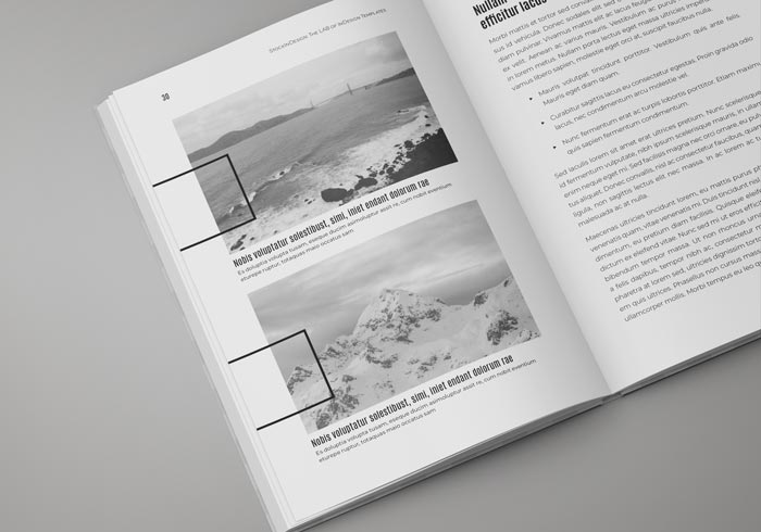 adobe indesign book templates free download