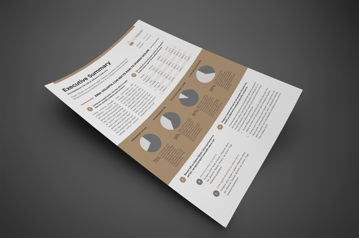 Free Executive Summary Template