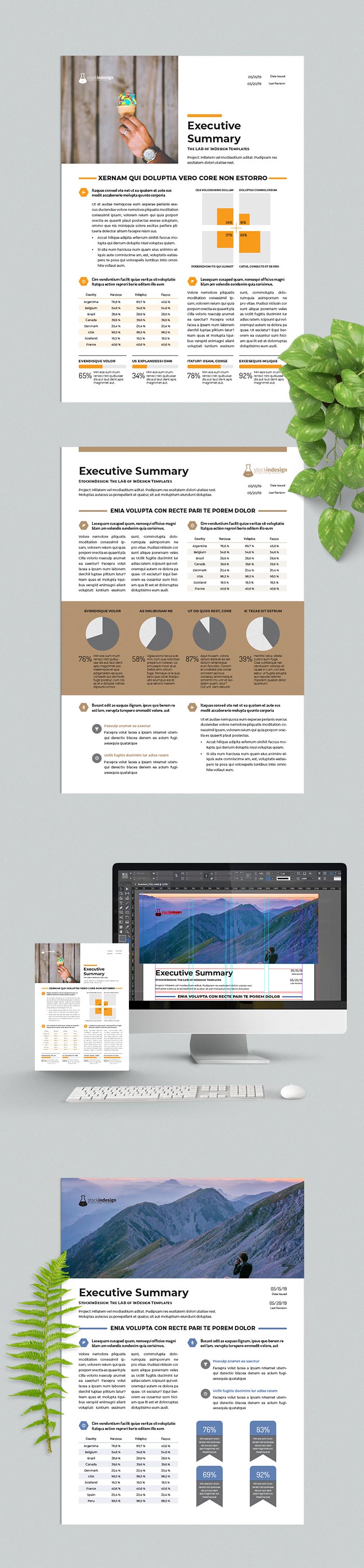 Free Executive Summary Template