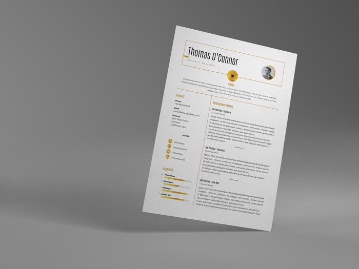 FREE Modern Resume Template