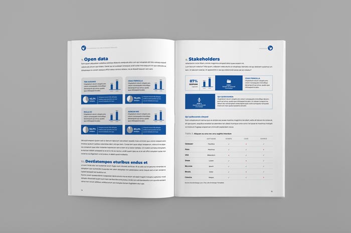 Whitepaper Template for InDesign