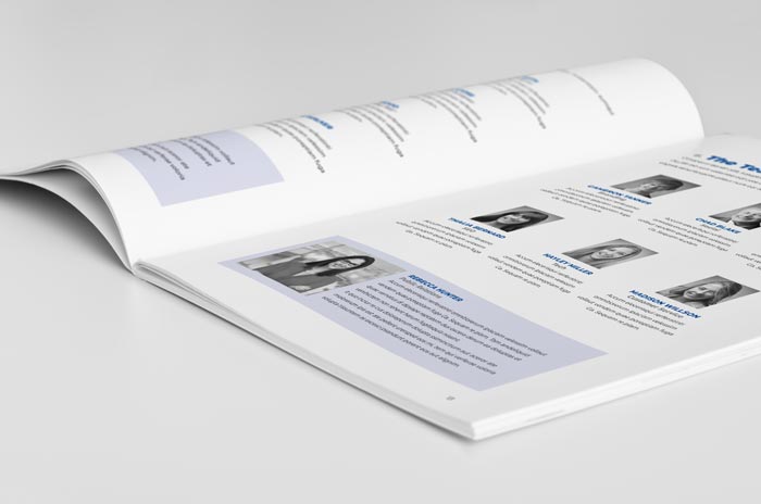 Whitepaper Template for InDesign