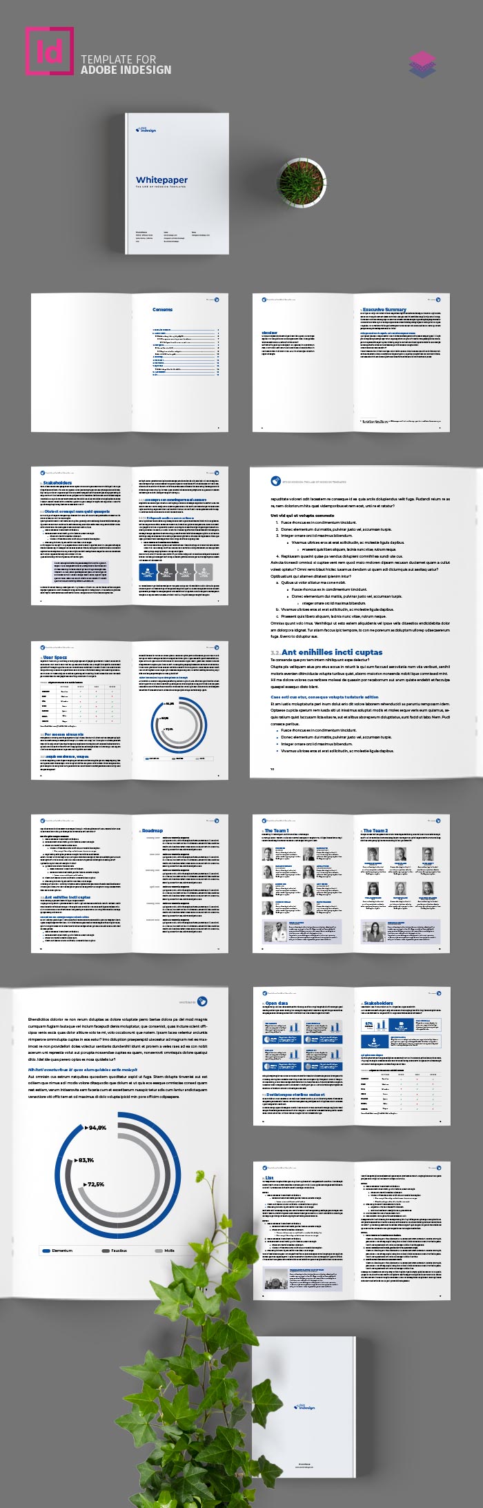 Whitepaper Template for InDesign