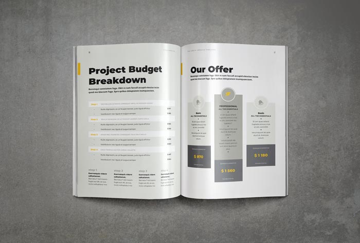 Book Design Proposal for InDesign