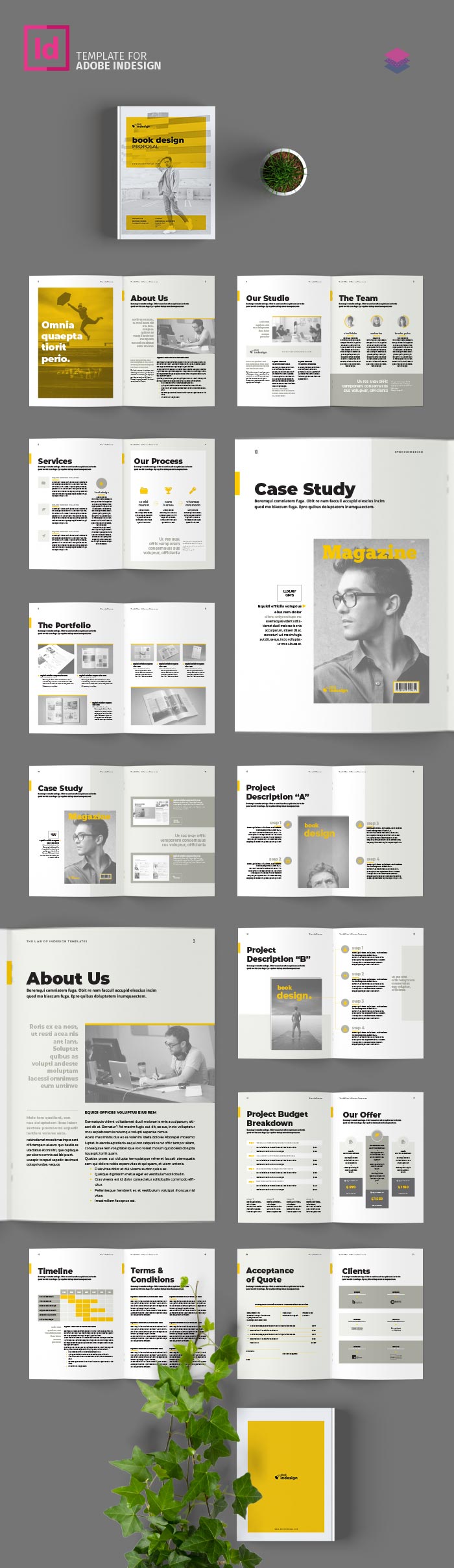 Book Design Proposal for InDesign