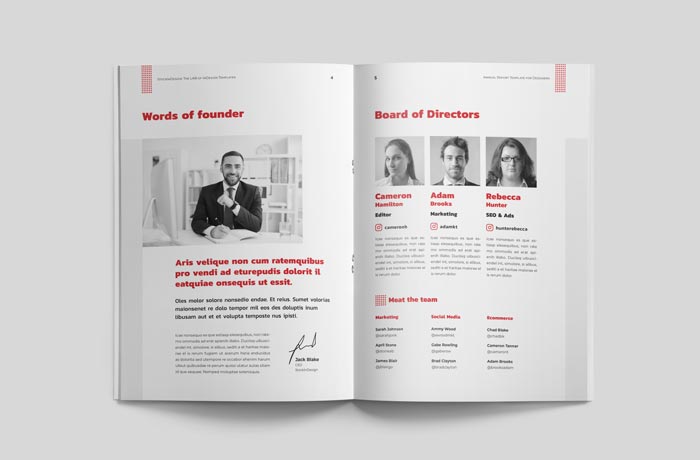 Elegant Annual Report Template for InDesign