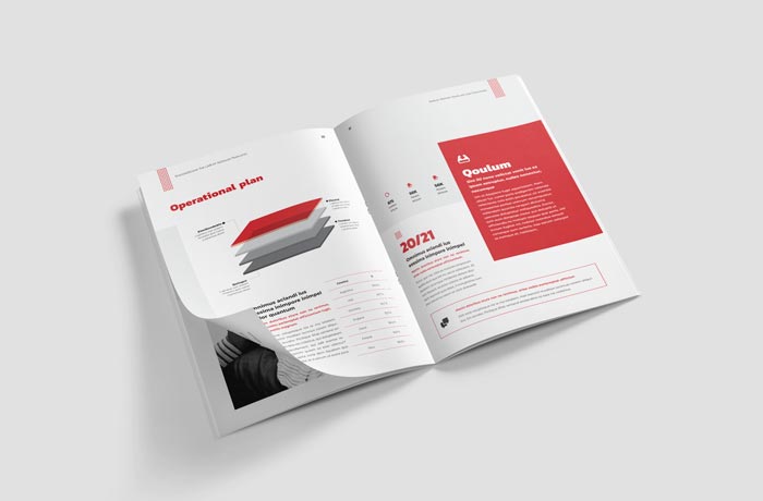 Elegant Annual Report Template for InDesign
