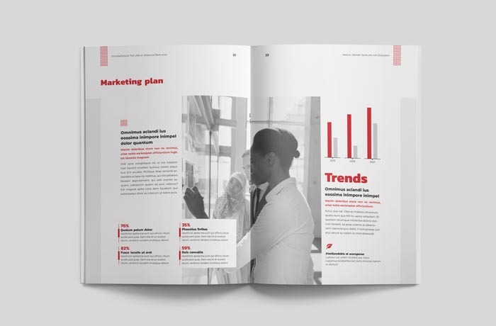 Elegant Annual Report Template for InDesign