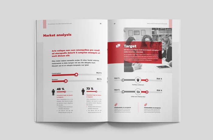 Elegant Annual Report Template for InDesign