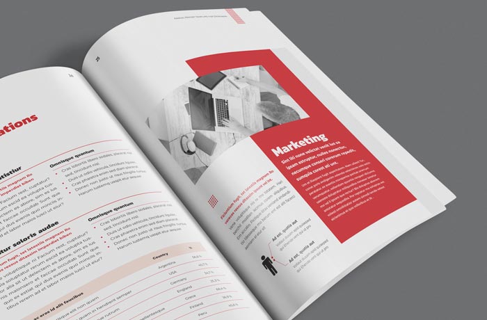 Elegant Annual Report Template for InDesign