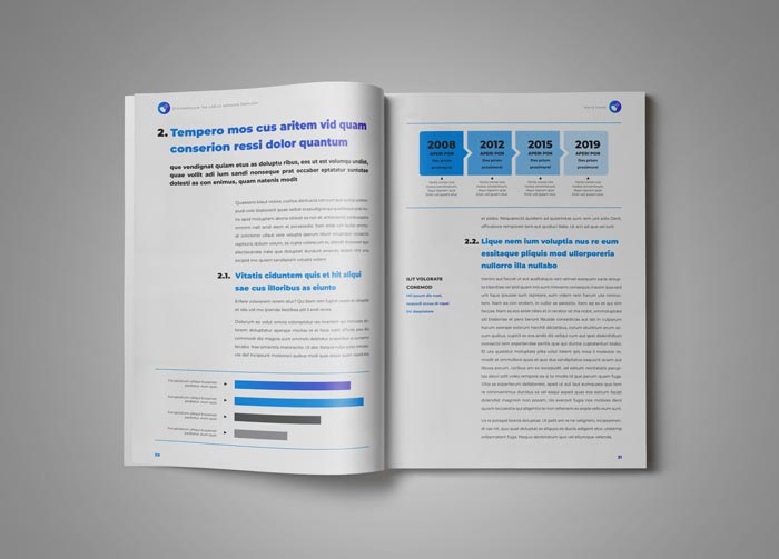 White Paper Template for InDesign