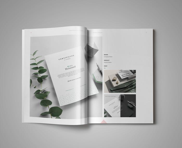 Graphic Design Portfolio Template in Adobe InDesign