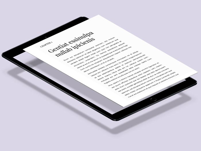 Ebook Template for InDesign