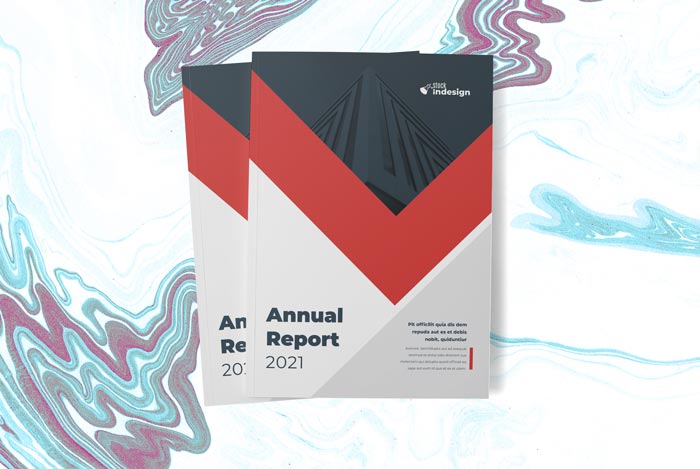 Annual Report Template for Adobe InDesign