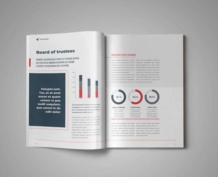 Annual Report Template for Adobe InDesign