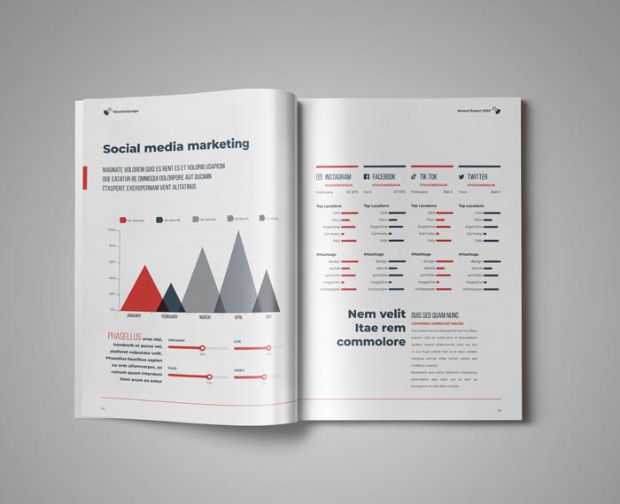 Annual Report Template for Adobe InDesign