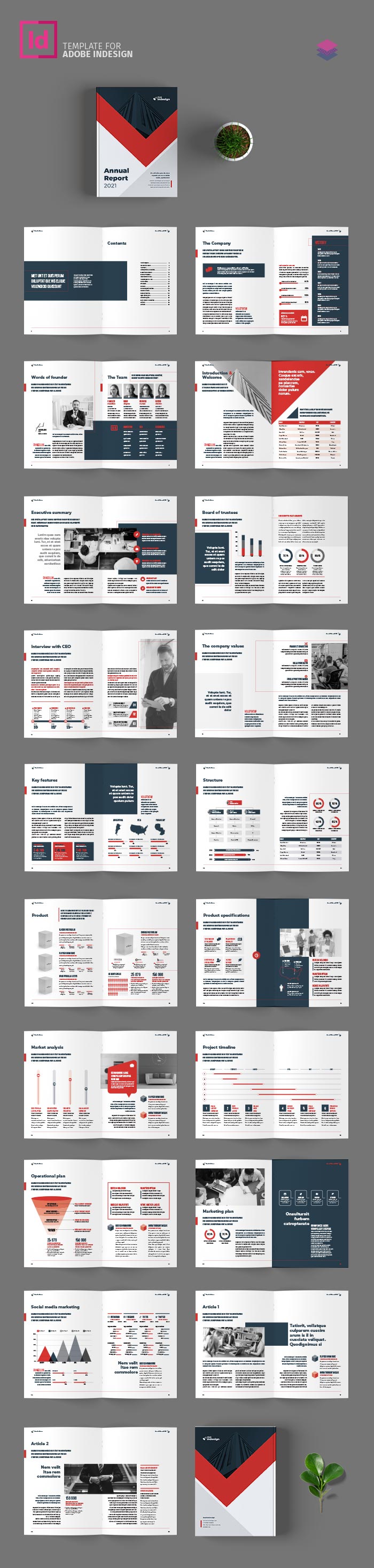 Annual Report Template for Adobe InDesign