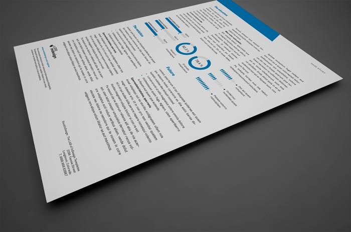 Case Study Template for Adobe InDesign