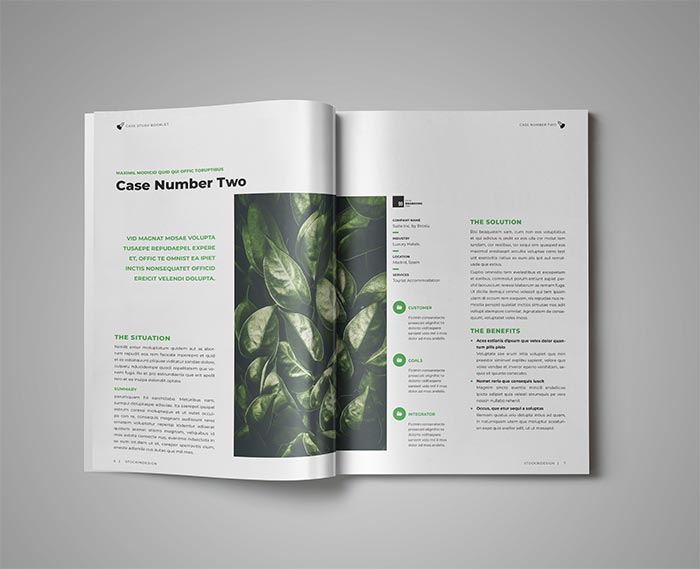Case Study Booklet Template for InDesign