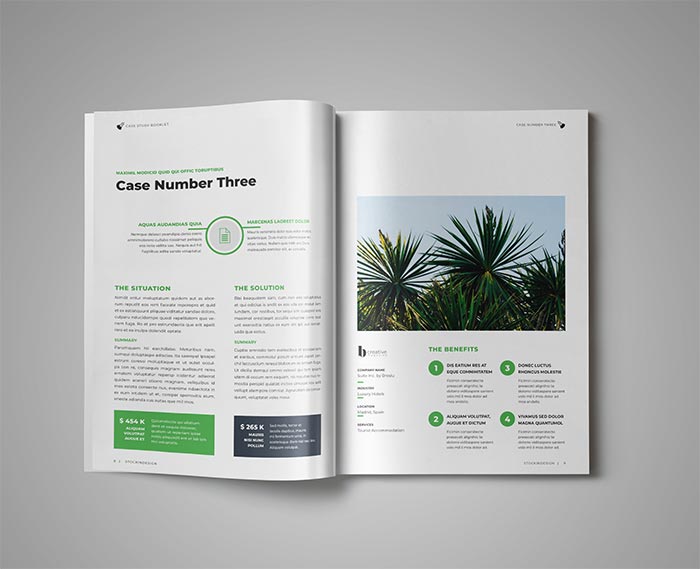 Case Study Booklet Template for InDesign