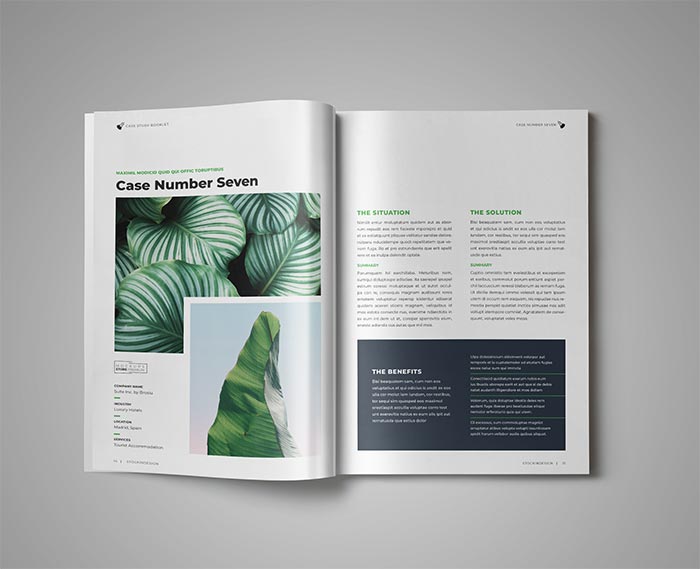 Case Study Booklet Template for InDesign