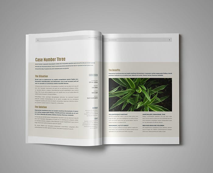 Case Study Template for Adobe InDesign