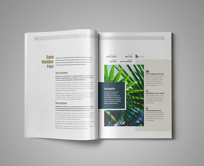 Case Study Template for Adobe InDesign