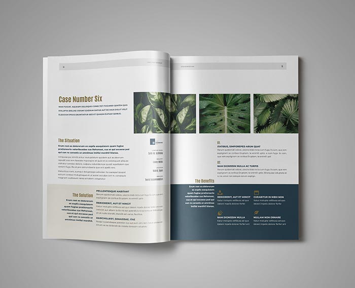 Case Study Template for Adobe InDesign