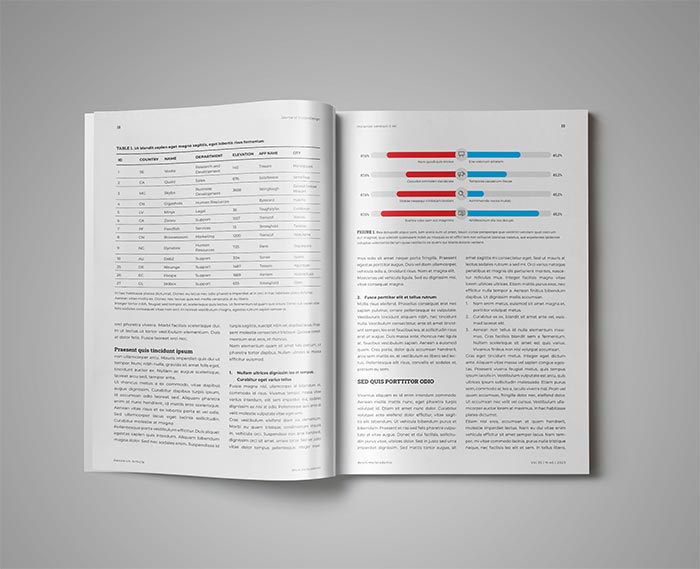 Infographics in the Template for Journal Academic