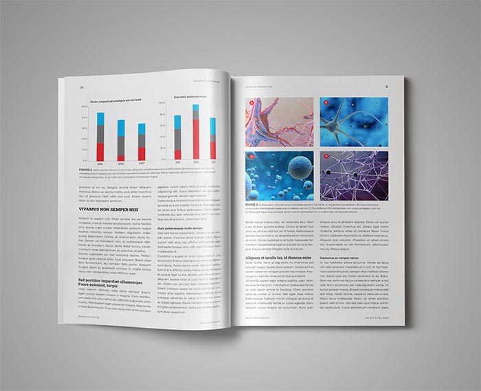 Layout in Template for Journal Academic for InDesign