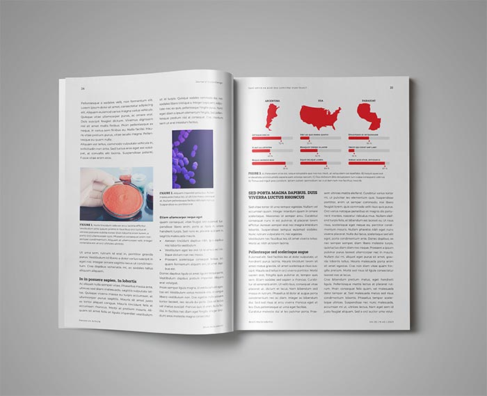 Infographics in the Template for Journal Academic