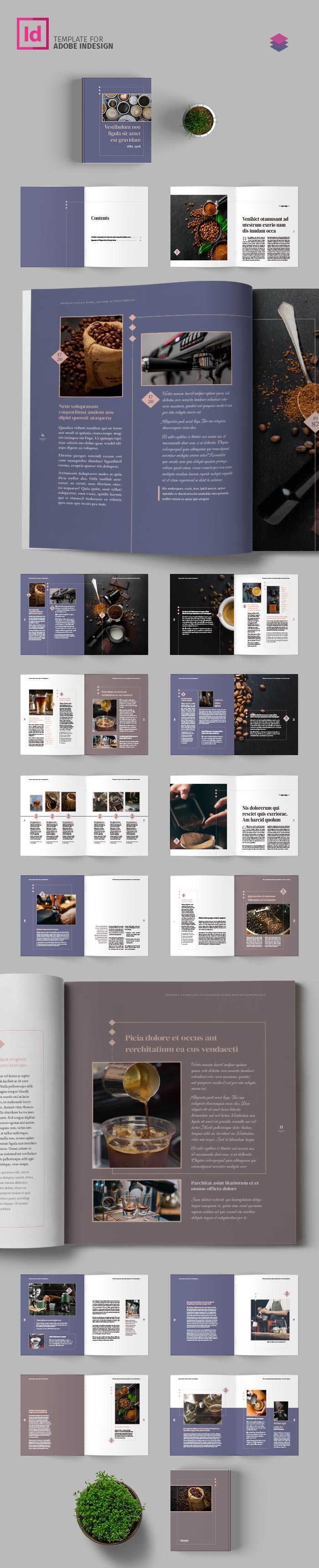 Visual Book Template for Adobe InDesign