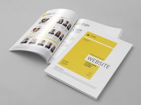 Website Project Proposal - StockInDesign