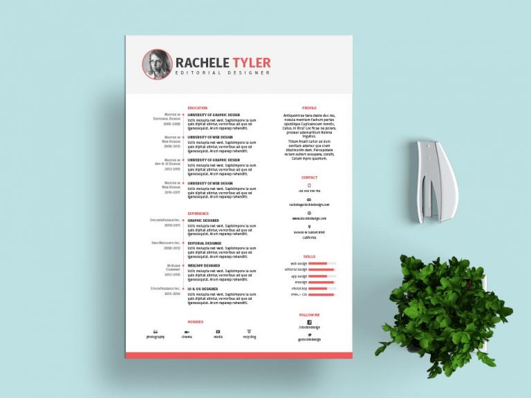 simple minimal resume templates indesign format free download