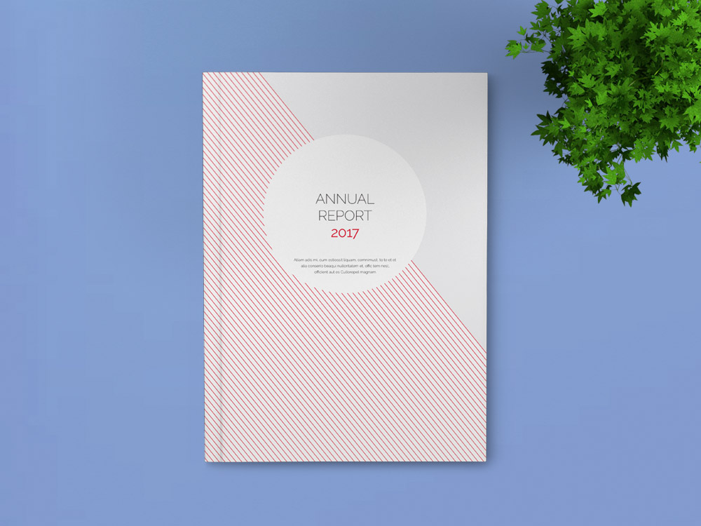 Annual Report Template