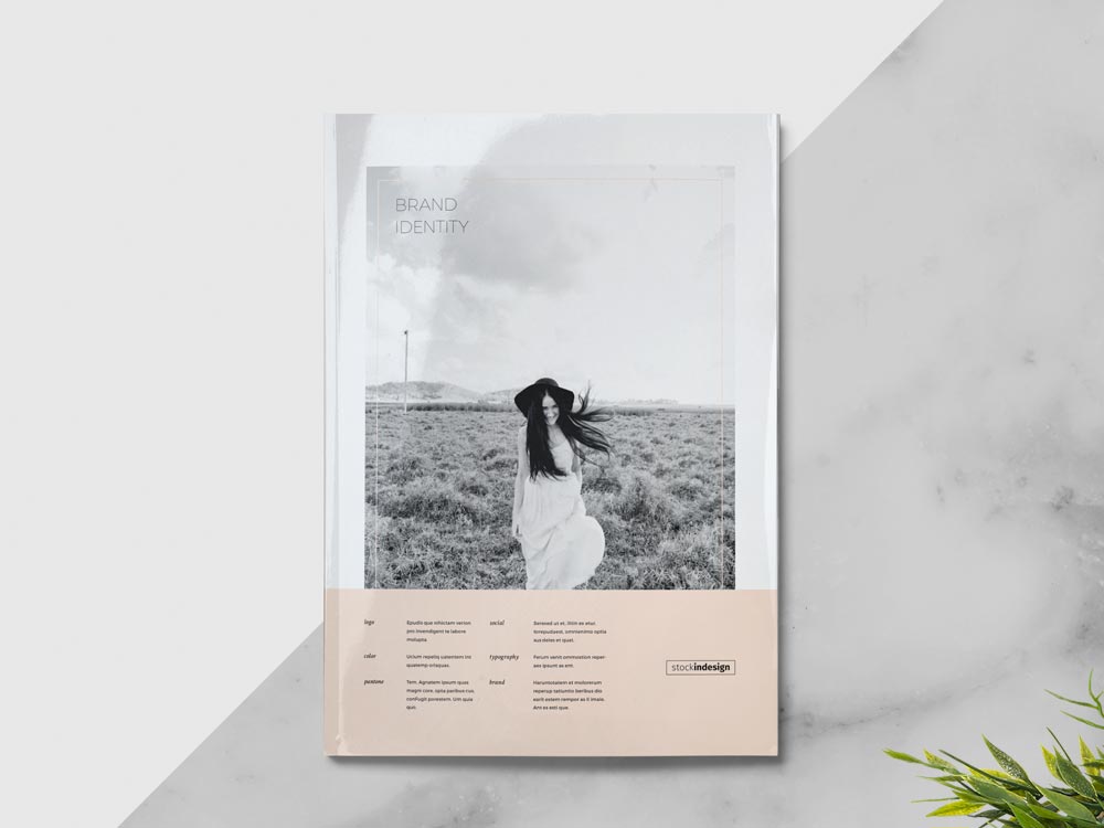 Brand Manual Template FREE InDesign Templates